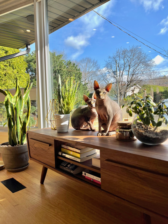 4 ½ à Louer, Animaux Acceptés! | 2847538