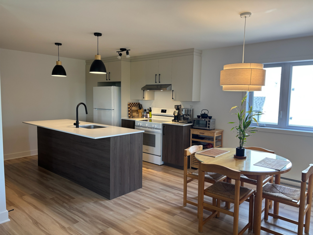 Grand 4 1/2 - Construction 2024 À Louer | 2847757