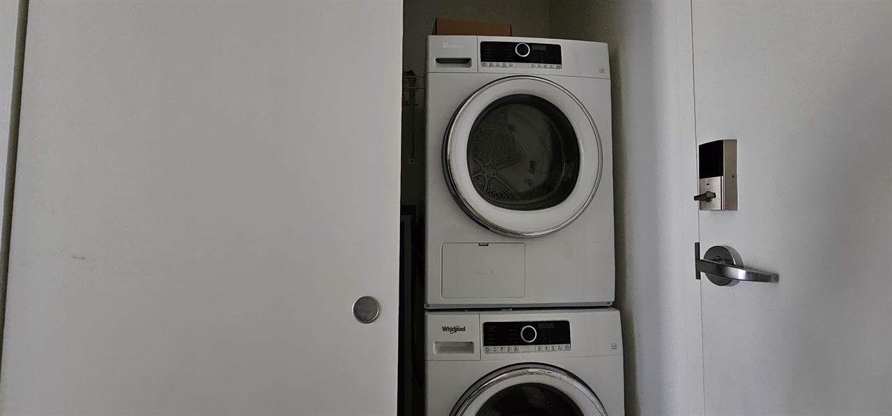 Studio - Montréal - $1,350 /mo | 2847877