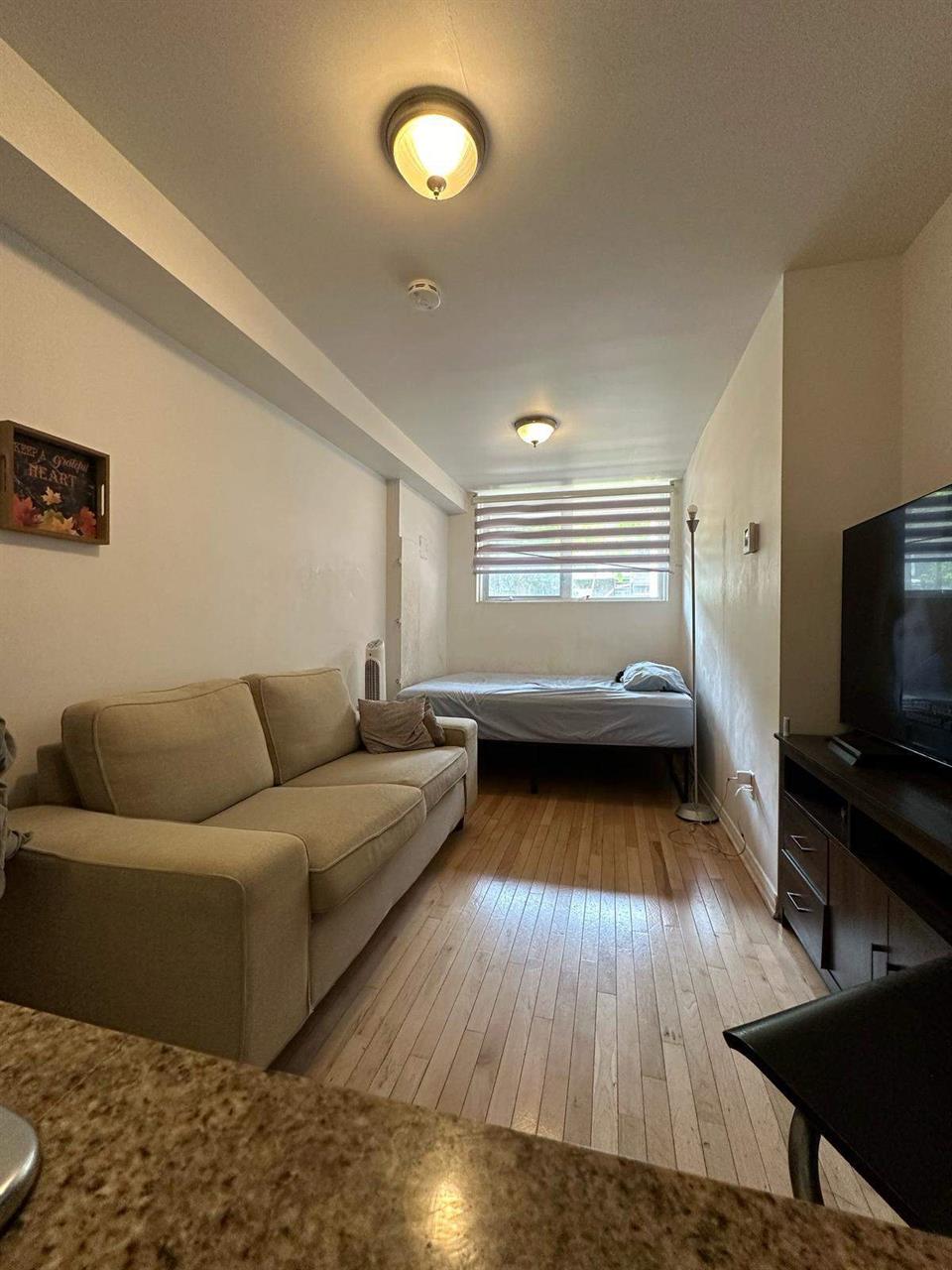 Studio - Montréal - $1,020 /mo | 2847883