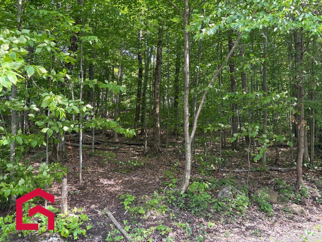 Terrain Résidentiel Sainte-Anne-des-Lacs À Vendre | 2848078