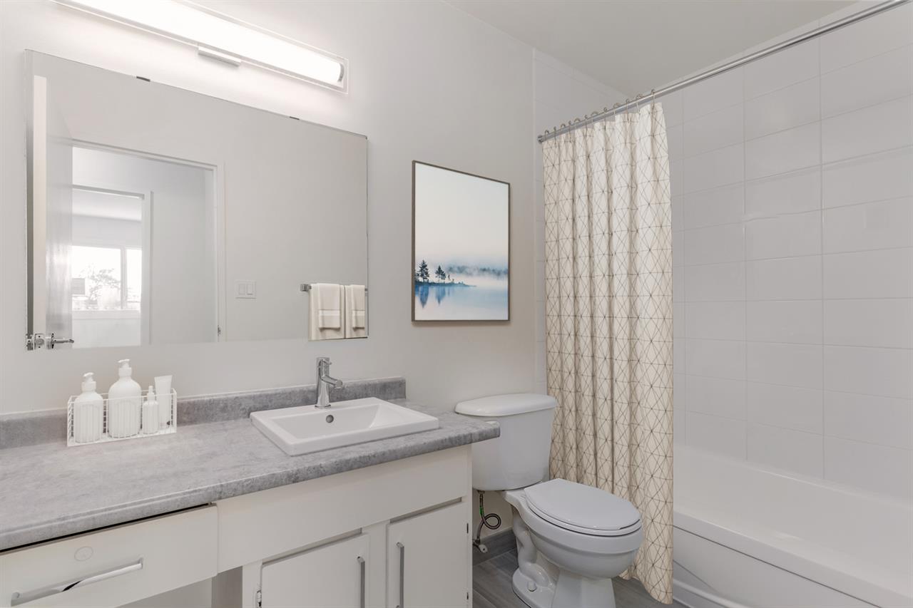Maple Gardens | 2849852