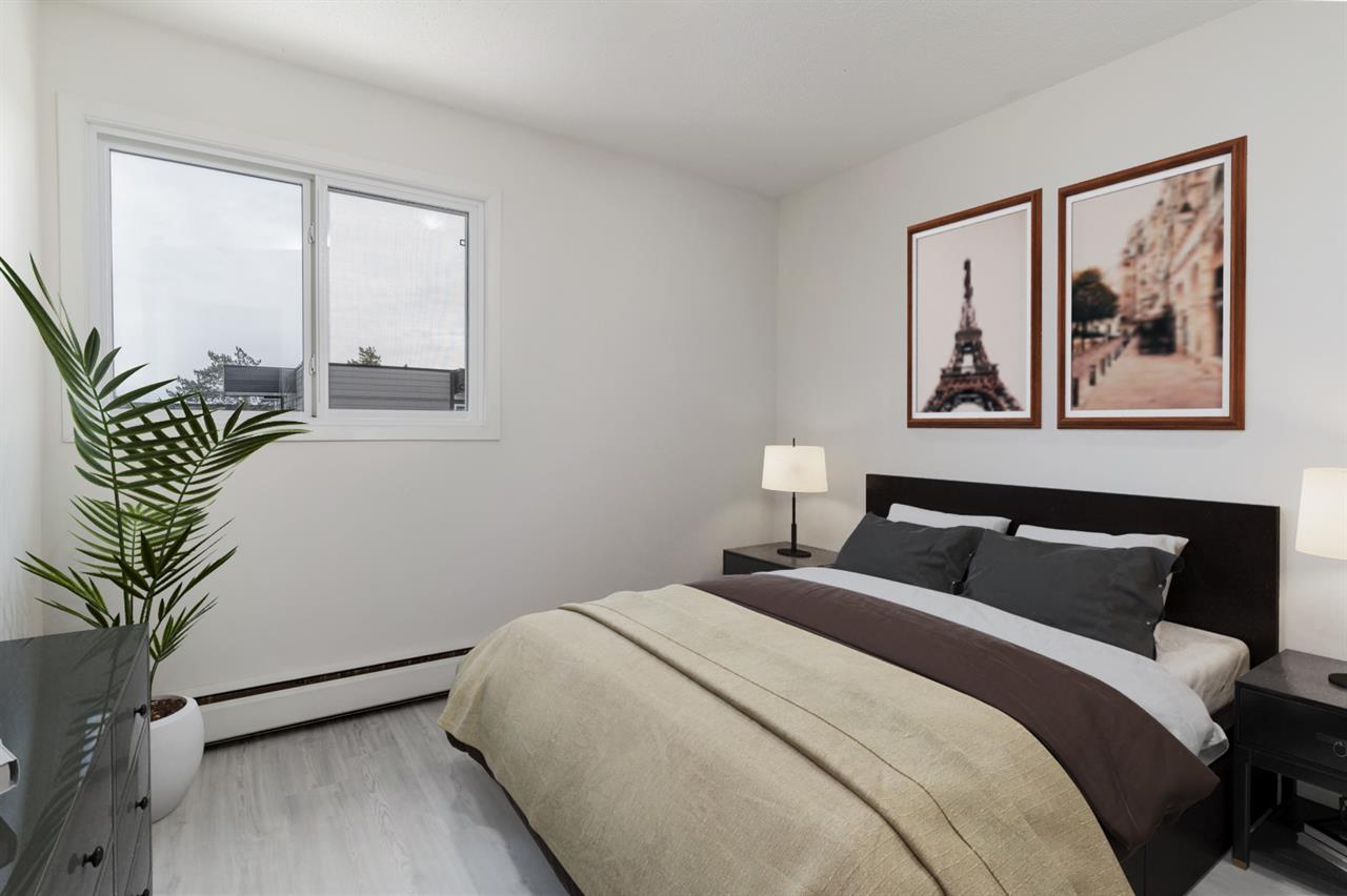 Maple Gardens | 2849852