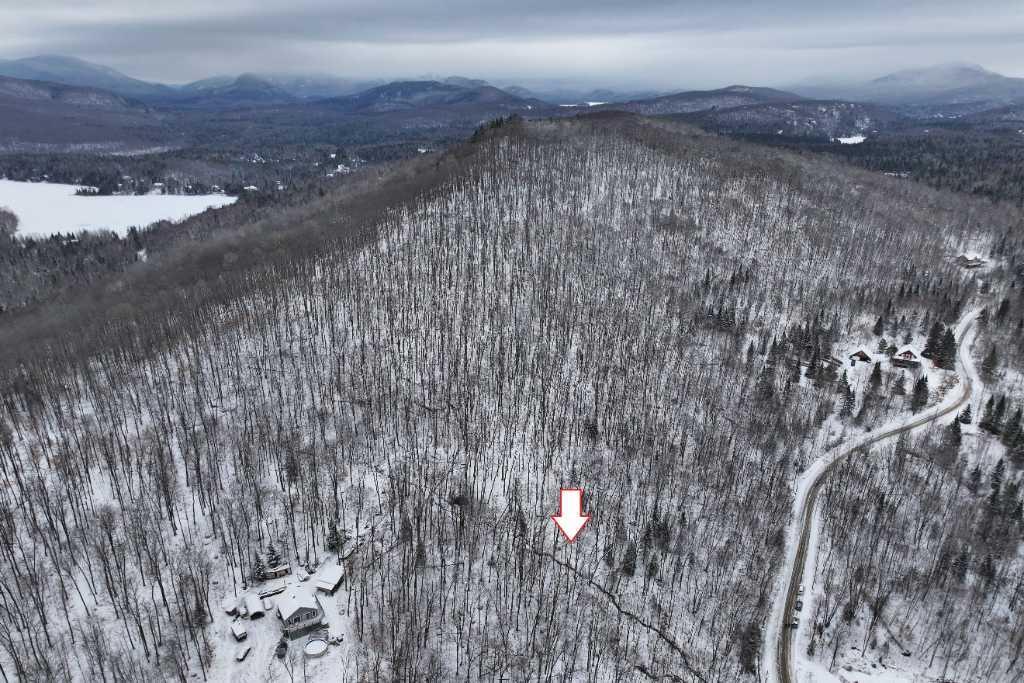Terrain vacant / vacant lot - 12.89 acres - chemin Grenier, Lac-Supérieur - À VENDRE / FOR SALE | 2849919