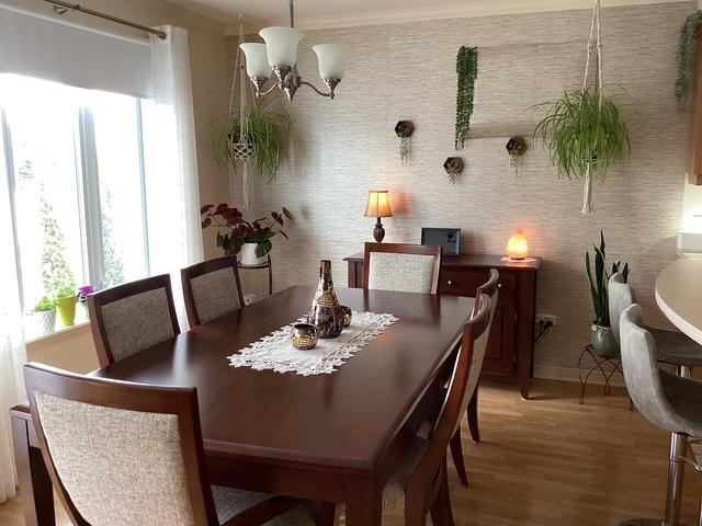 Appartement 4 1/2 à louer Terrebonne | 2853534