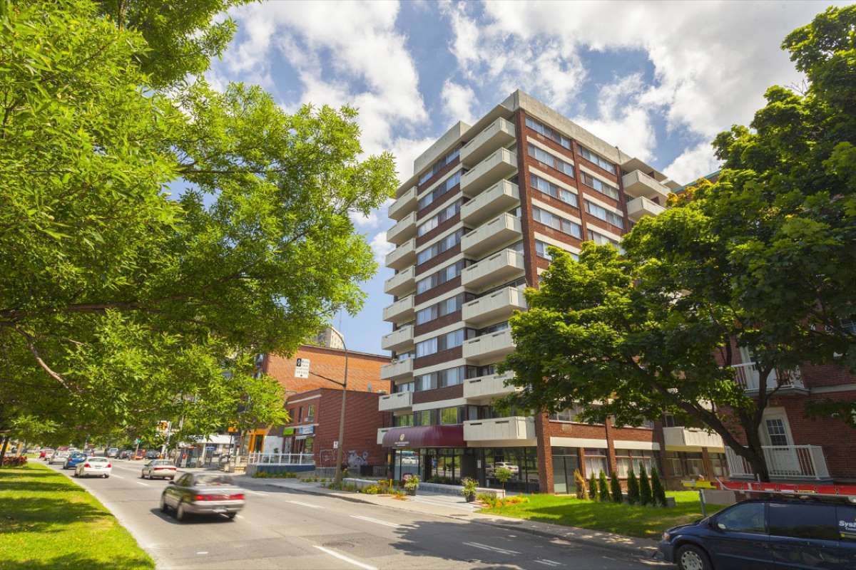 Bachelor Available At 4760 Chemin De La Côte-des-Neiges - 4760 Chemin De La Côte-des-Neiges, Montréal | 2853586