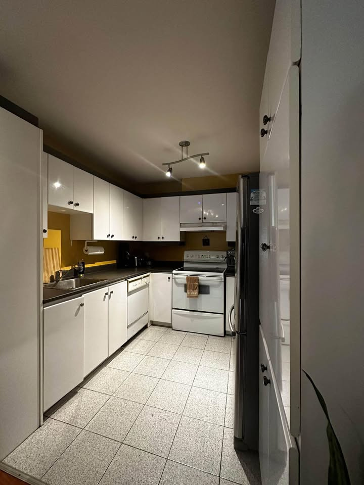4 1/2 Condo à Louer Rosemon/La Petite-Pa | 2854026