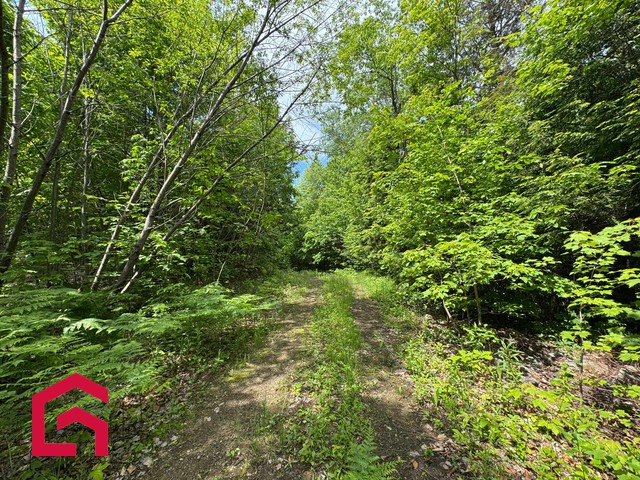 Terrain Résidentiel Gore À Vendre | 2854040