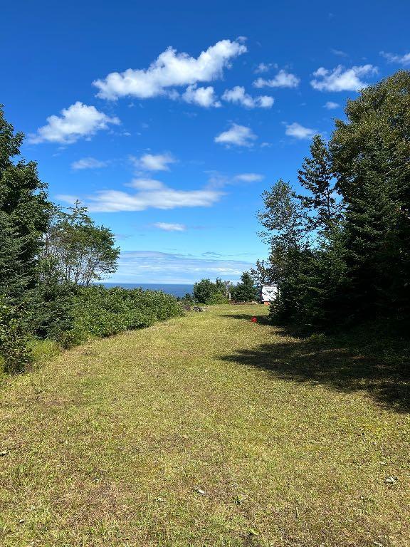 Terre à bois construisible avec une vue magnifique | 2854220