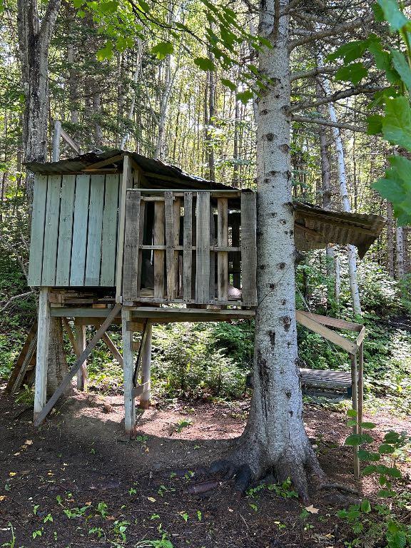 Terre à bois construisible avec une vue magnifique | 2854220