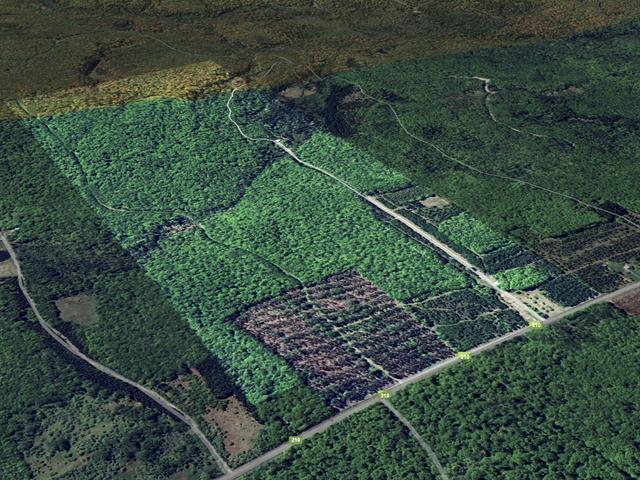 Terrain | 2854225