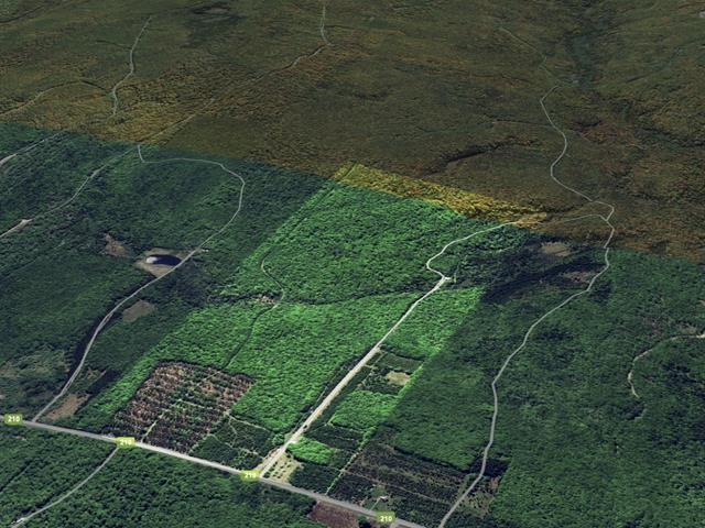 Terrain | 2854225