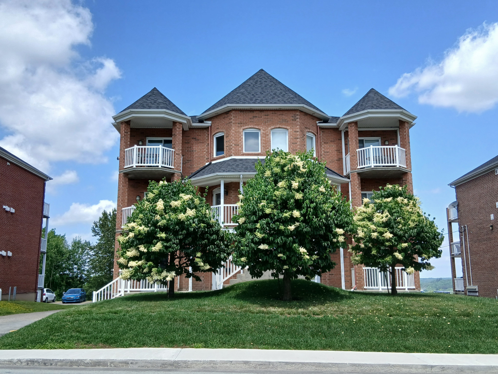 Condo 4 1/2 À Louer | 2869542