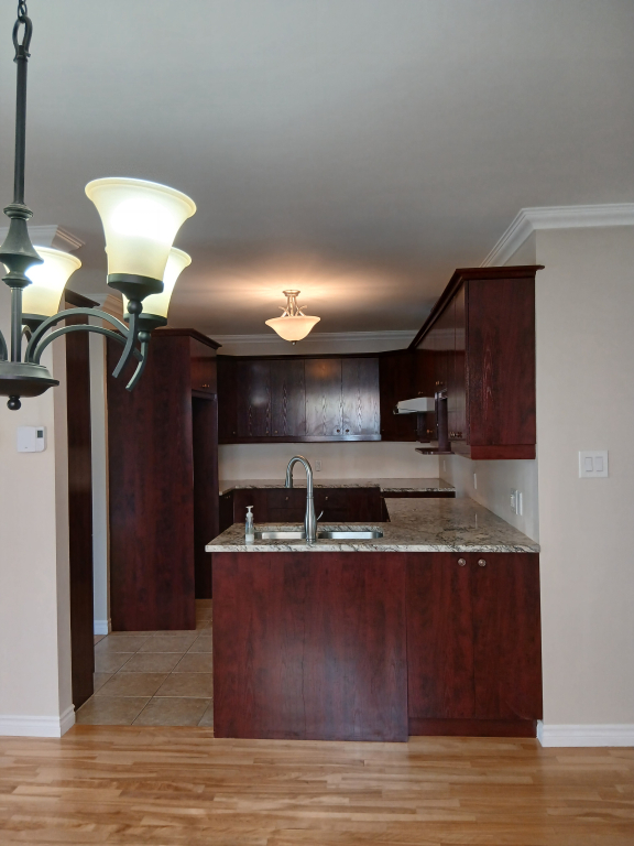 Condo 4 1/2 À Louer | 2869542