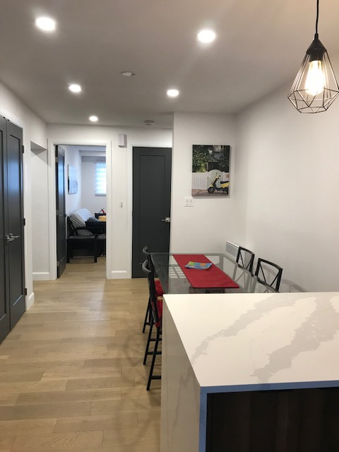 GRAND 4 1/2 MEUBLÉ ET ENTIÈREMENT RÉNOVÉ | 2859564