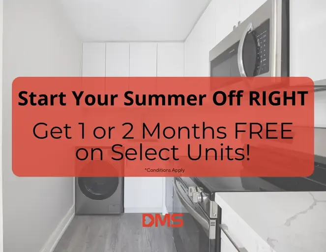 Maynard Apartments | 32 Maynard Avenue, Toronto | 2860687