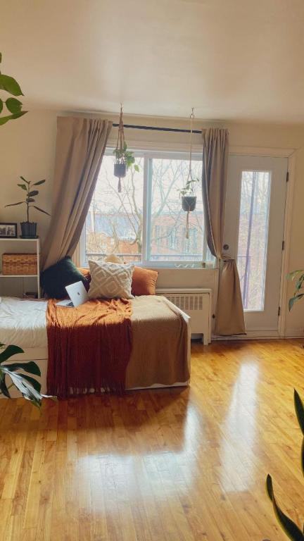 Studio - Montréal - $1,095 /mo | 2865096
