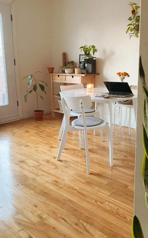 Studio - Montréal - $1,095 /mo | 2865096