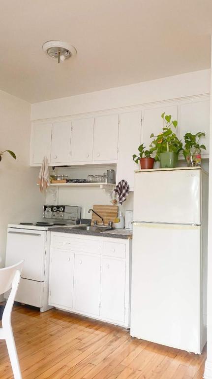 Studio - Montréal - $1,095 /mo | 2865096