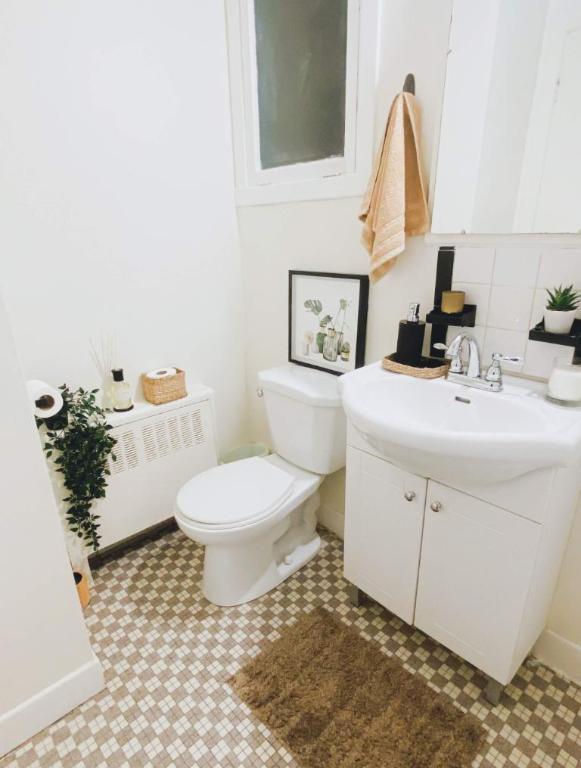 Studio - Montréal - $1,095 /mo | 2865096