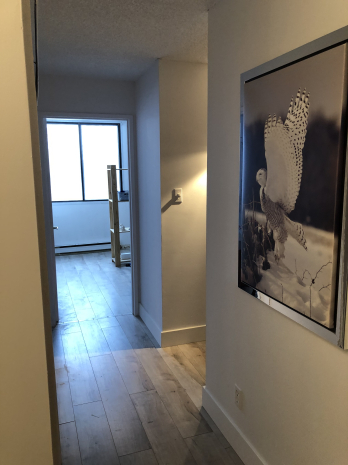Laval 3 1/2-Montmorency -Tout Inclus | 2865130