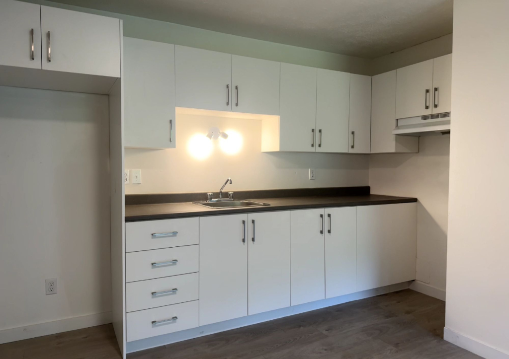 SUPERBE 3 ½ EN RÉNOVATION|SEPTEMBRE | 2865166