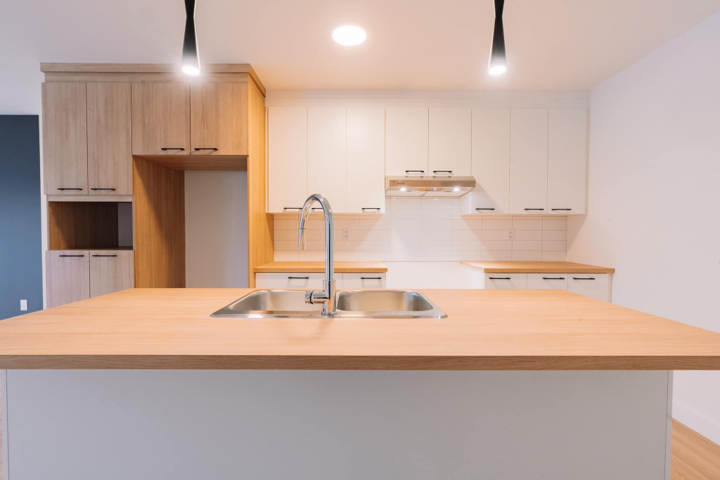 Neuf Grand 5 1/2 St-Isidore Beauce | 2865177