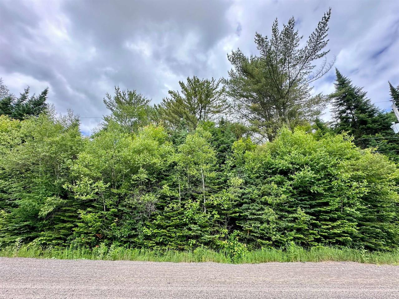 Terrain Vacant Val-David À Vendre | 2865405