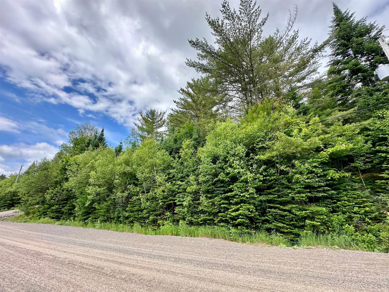 Terrain Vacant Val-David À Vendre | 2865405