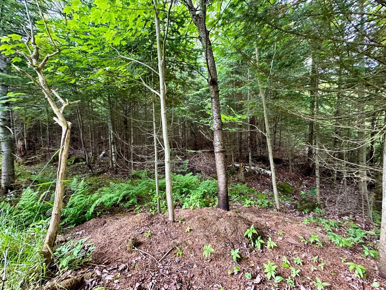 Terrain Vacant Val-David À Vendre | 2865405