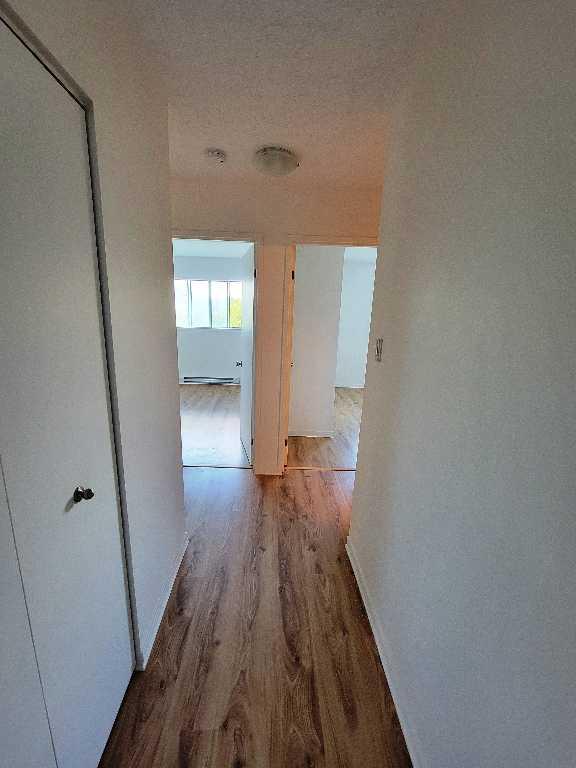 4 ½ à louer, à 2 pas du CHUS et Cegep – Disponible dès le 1er juillet ! | 2870009
