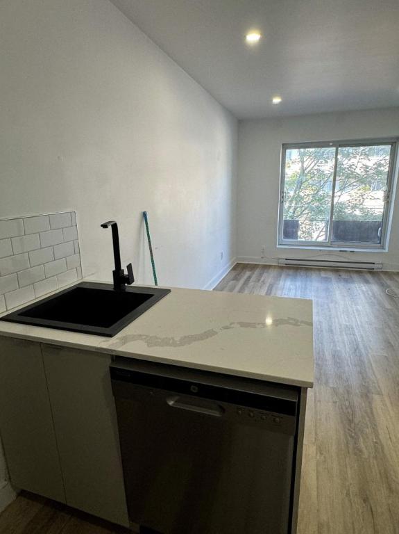 1 CH - 1 SDB - Montréal - $1,445 /mo | 2870022