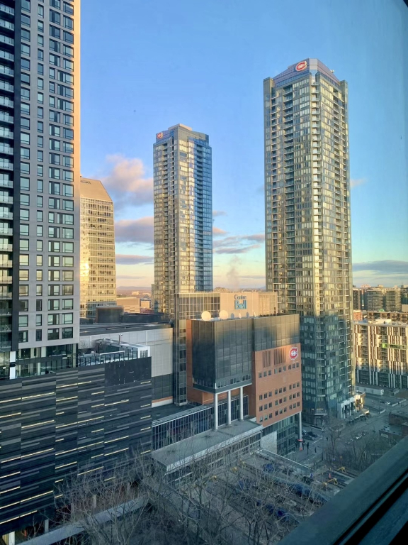 Unfurnished 4 1/2 Closed To Bell Centre | 2870088