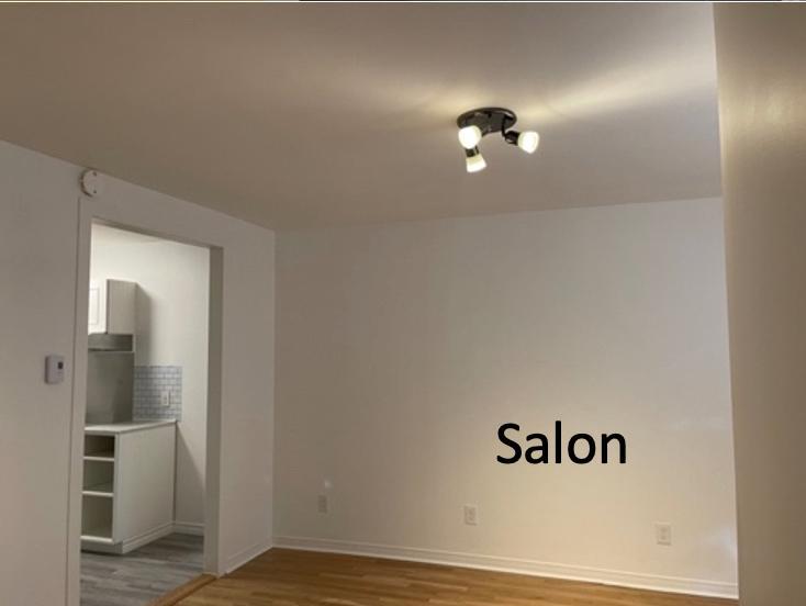 Appartement de 1410 pi3 sur 2 étages - Libre 1er août | 2870356