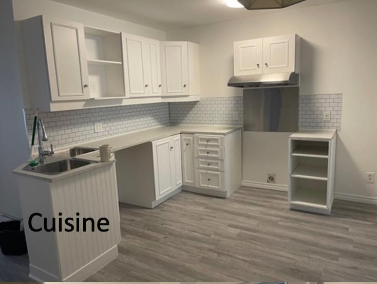 Appartement de 1410 pi3 sur 2 étages - Libre 1er août | 2870356