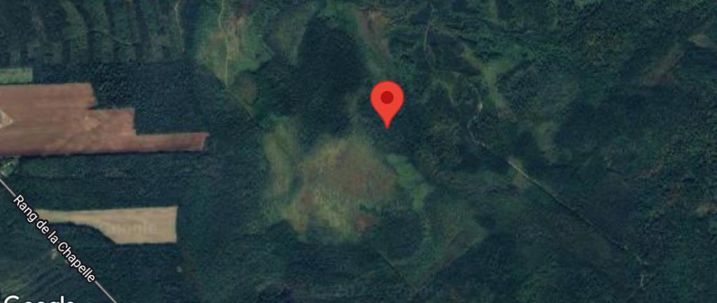 TERRE À BOIS STE-CHRISTINE D'AUVERGNE | 2870732
