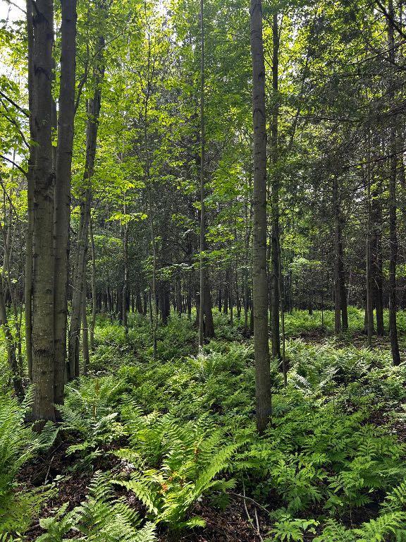 Chalet sur terre de 50 acres | 2870734