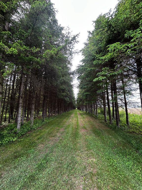 Chalet sur terre de 50 acres | 2870734