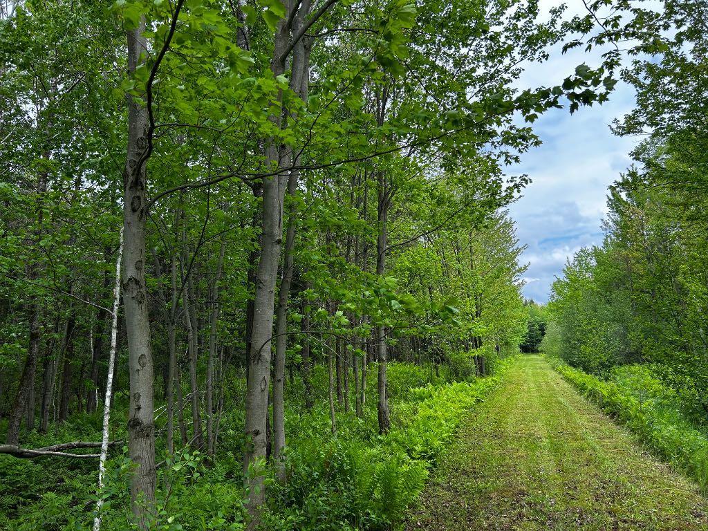 Chalet sur terre de 50 acres | 2870734