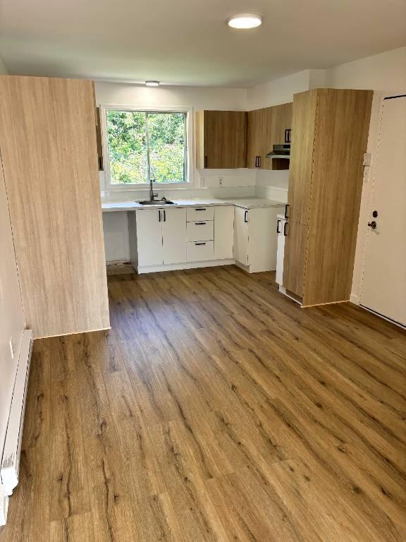 LOGEMENT À LOUER 41/2 REPENTIGNY CENTRE-VILLE NON FUMEUR-PAS D'ANIMAUX RÉNOVÉ | 2878766