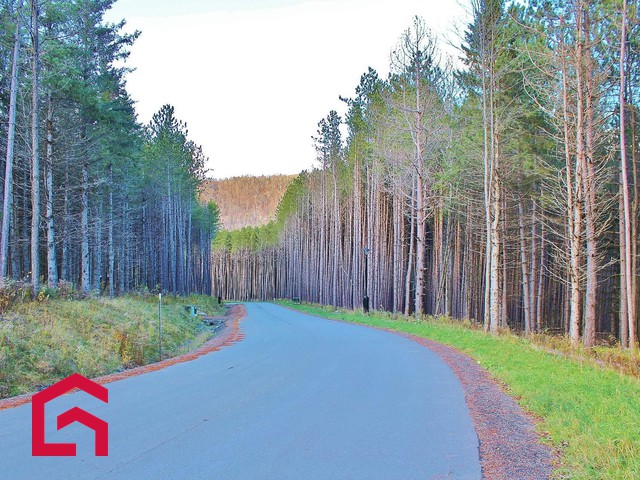 Terrain Résidentiel Saint-Sauveur À Vendre | 2879186