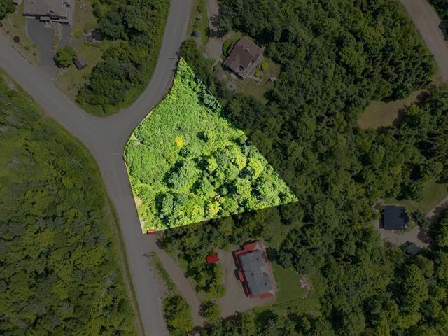 Terrain | 2879343