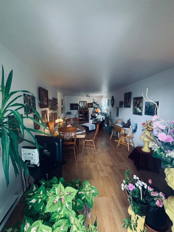 4 1/2 chauffer-éclairer 1 er août Lévis centre-ville | 2881861
