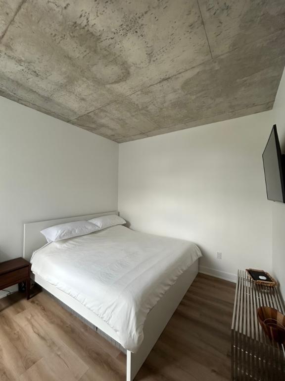 DEAL!!! Cession de bail 3 1/2 – 1er mois GRATUIT -1780$ et je DONNE mes MEUBLES! | 2882249