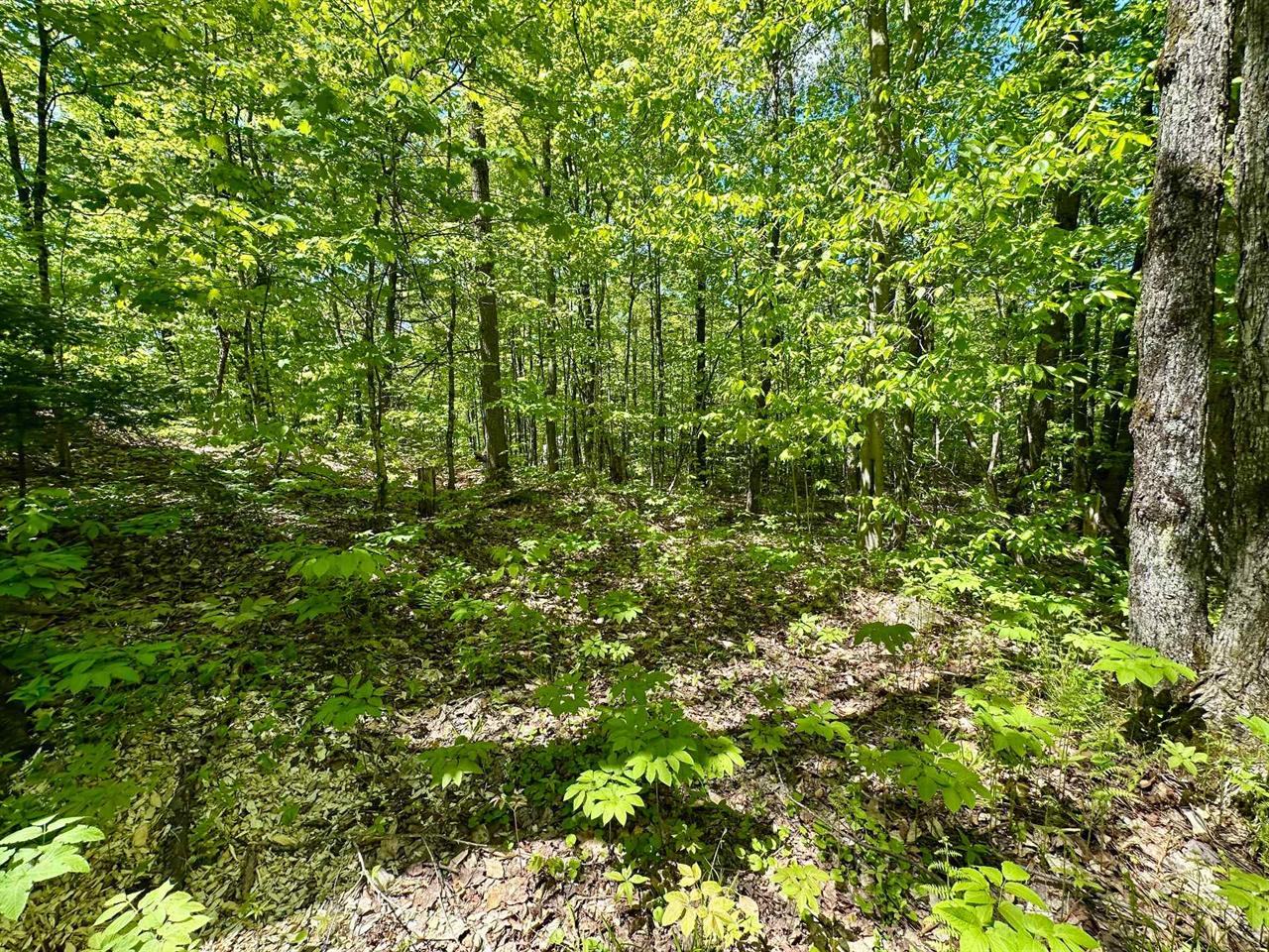 Terrain Vacant Val-des-Monts À Vendre | 2882268