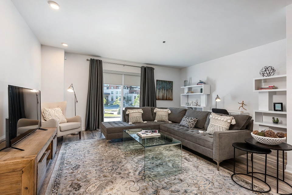 1 Bedroom | 1 Bathroom - 8035 Saint-Laurent Boulevard, Brossard | 2891485