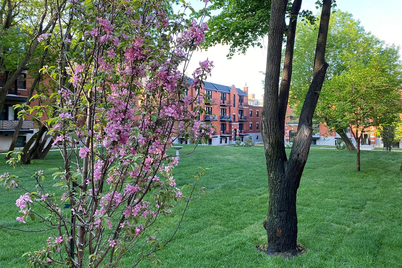 Jardins Des Saules - 1 Bedroom - 5530 Avenue Decelles, Montréal | 2891488