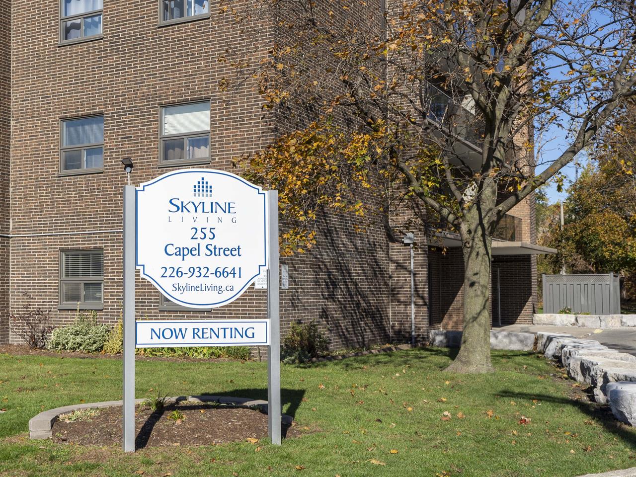 Claire Oak Apartments | 2891554