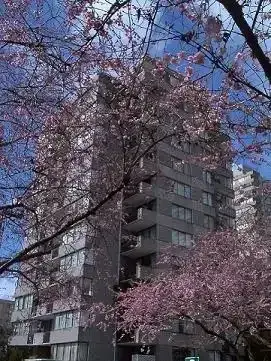 2310 West 2nd Ave | 2310 west 2nd Ave, Vancouver | 2891750