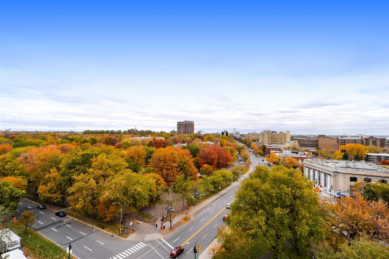 Studio Renové Avec Balcon Et Vue! - 1010 Cherrier, Montréal | 2894775